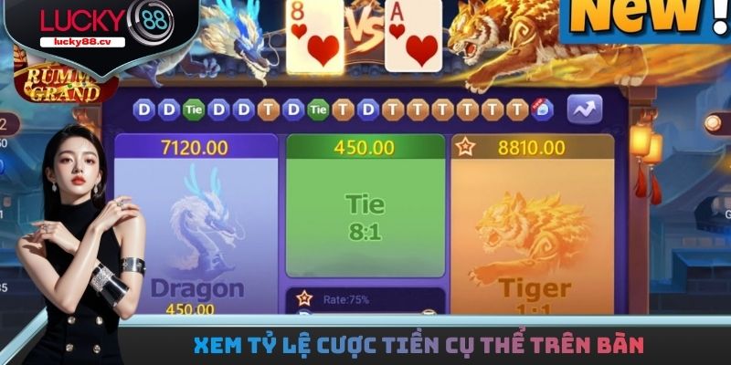 Bạn theo dõi tỷ lệ trên bàn để cược