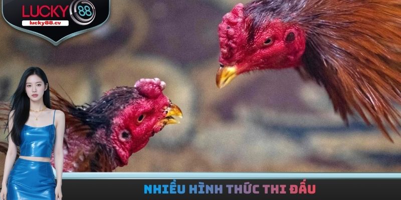 Nhiều hình thức thi đấu