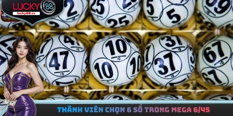 Thành viên chọn 6 số trong Mega 6/45